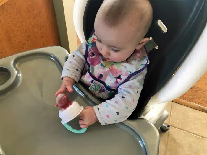 Silicone Feeder vs Mesh for Babies