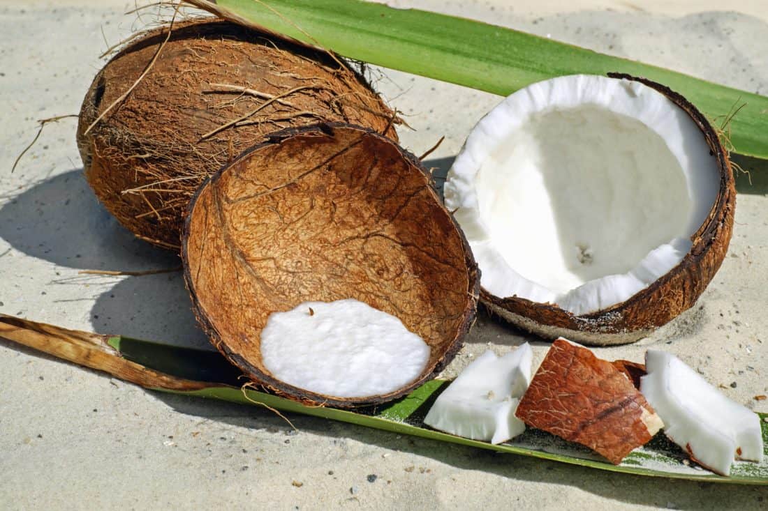 Brown Coconut Vs Green Coconut