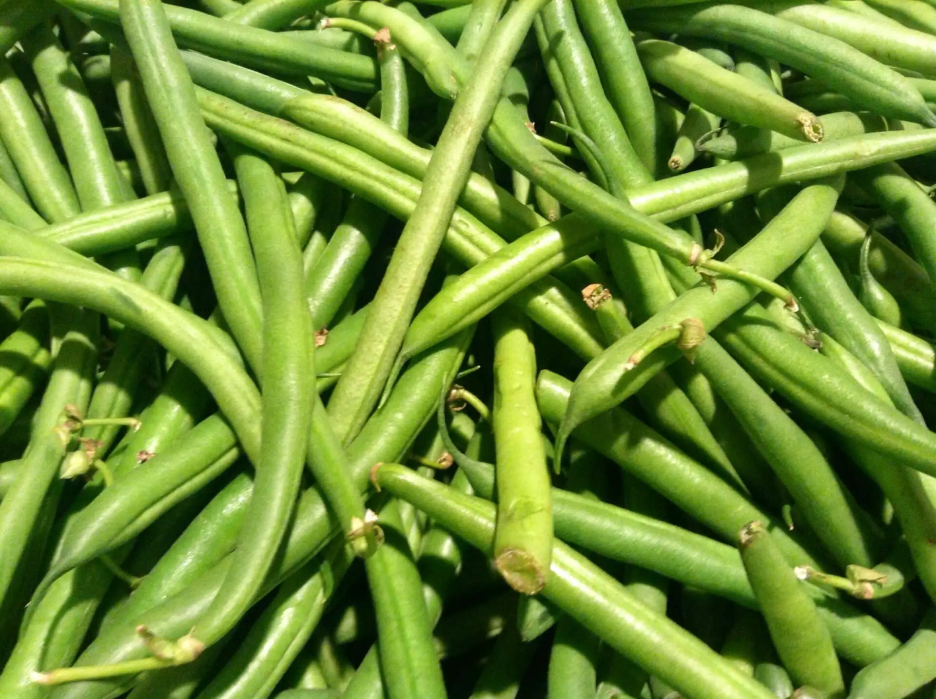 Yard Long Beans vs Green Beans
