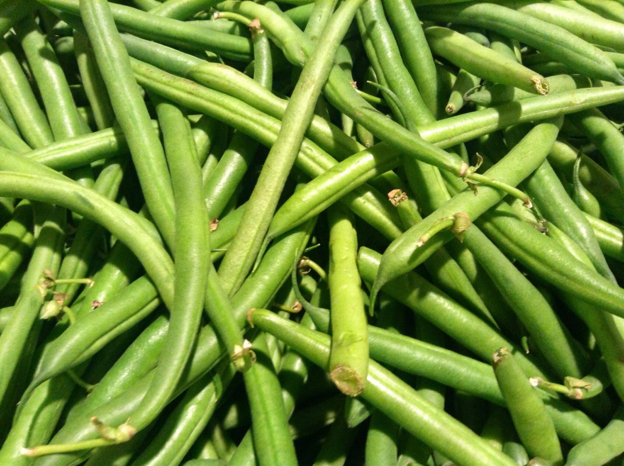 Yard Long Beans vs Green Beans Julian Nayuri