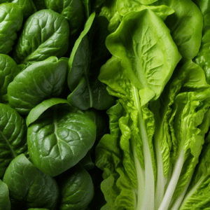 Escarole vs. Spinach Comparison