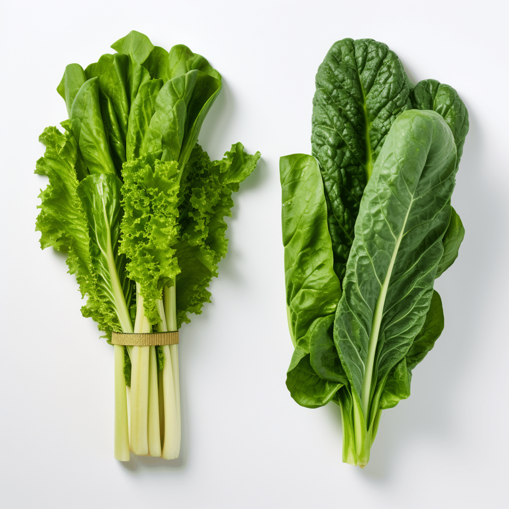 Escarole vs. Spinach Comparison