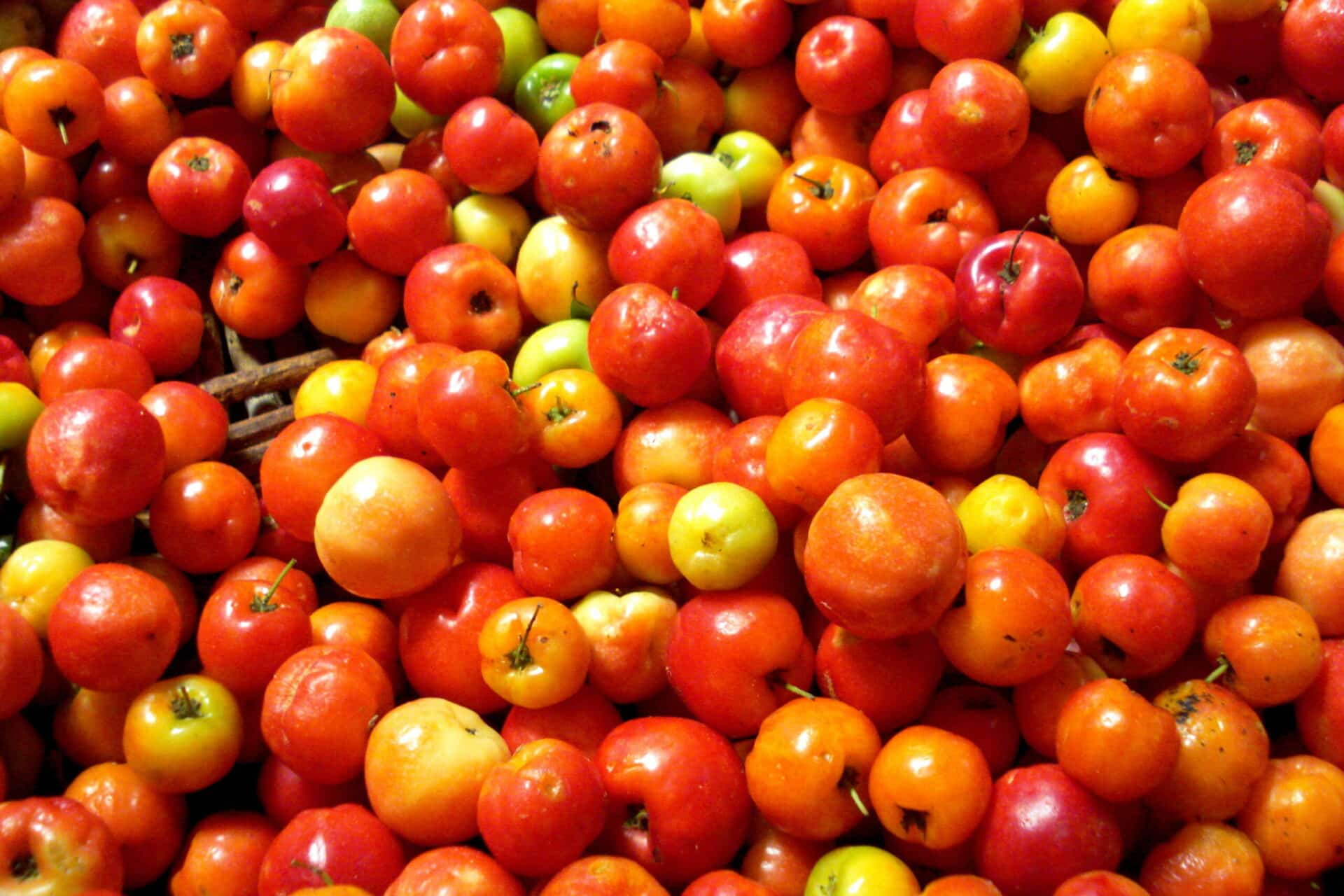 Acerola Vs Camu Camu