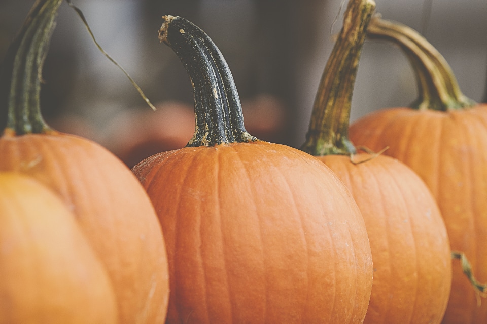 Can You Buy Pumpkins With Food Stamps?