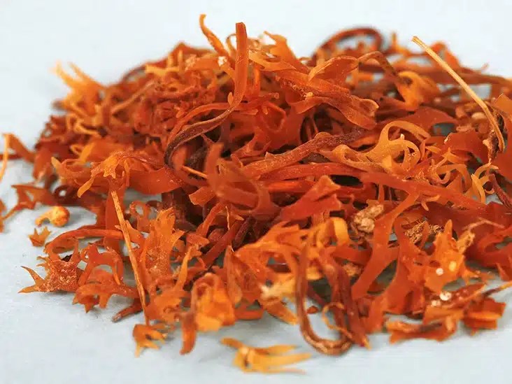 Can You Take Sea Moss While Pregnant?