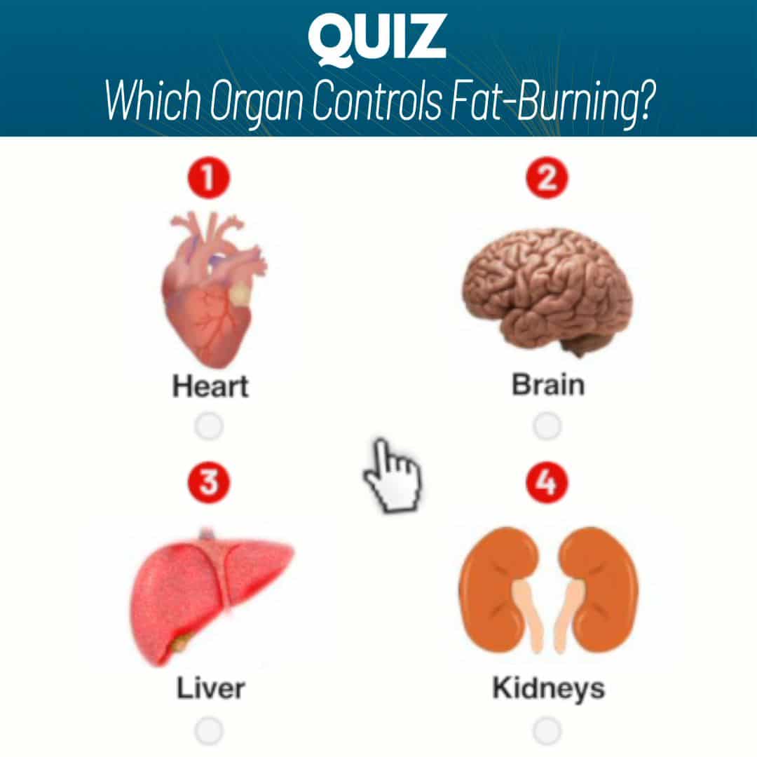 Washing Guide for Snuggle Me Organic Products